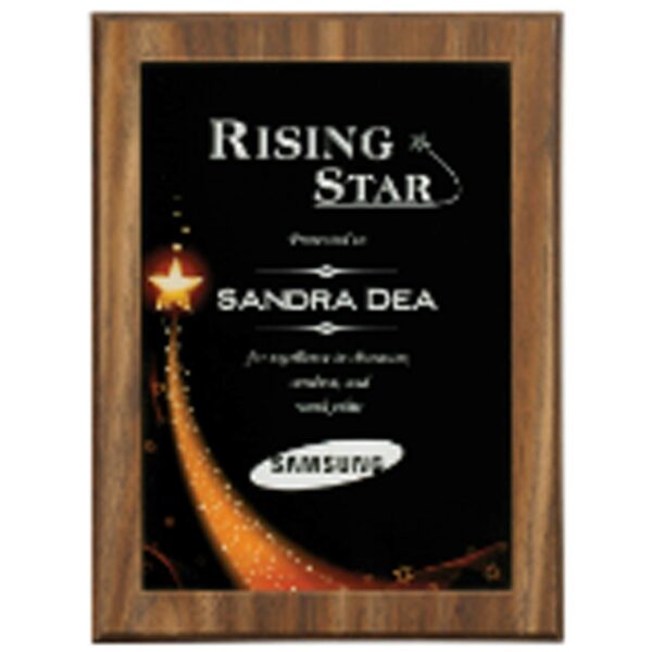 5 7/8" x 7 7/8" Star Galaxy Acrylic Plaque Plate