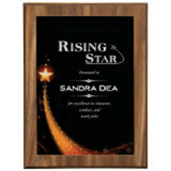 6 7/8" X 9 7/8" Star Galaxy Acrylic Plaque Plate