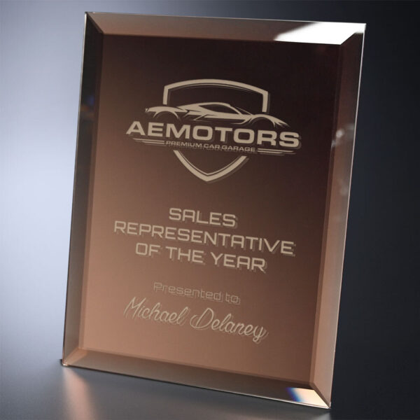 Imagery Bronze Award 8" x 10"