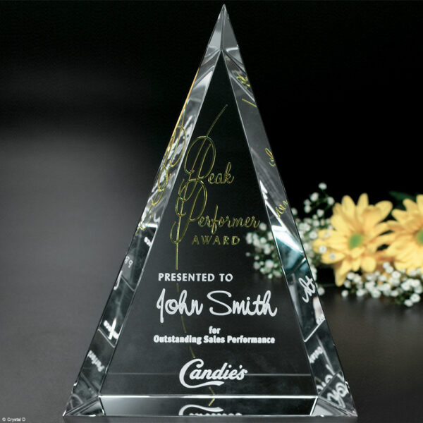 Palisade Award 10"
