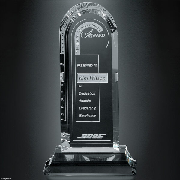 Skyline Award 11-1/2"