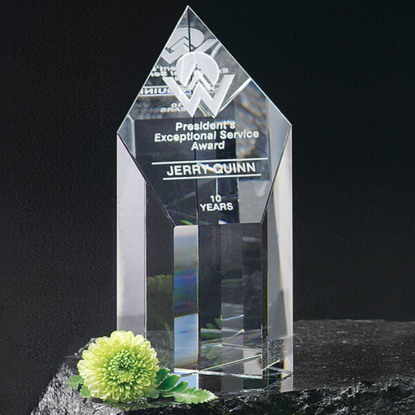 Summit Award 6"