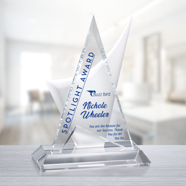 Enterprise Award 10-1/2"