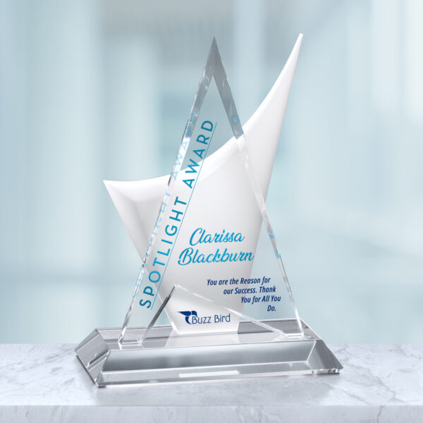 Enterprise Award 11-1/2"