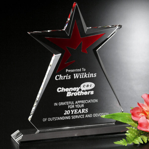 Guardian Award 8-1/2"