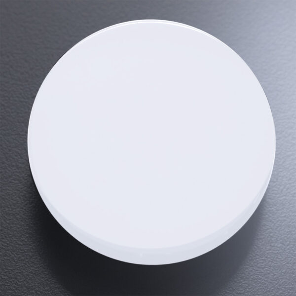 Kittery Goal-Setter Disc XS White