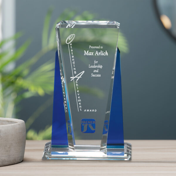 Sentinel Award 10-1/2"