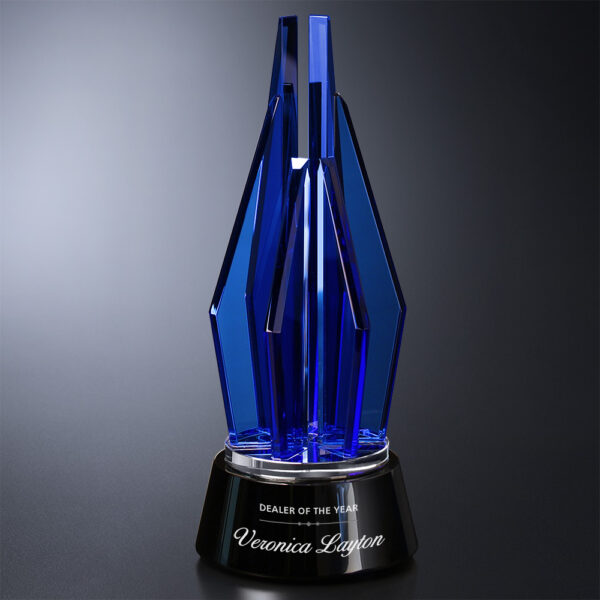 Vector Indigo Award 11"
